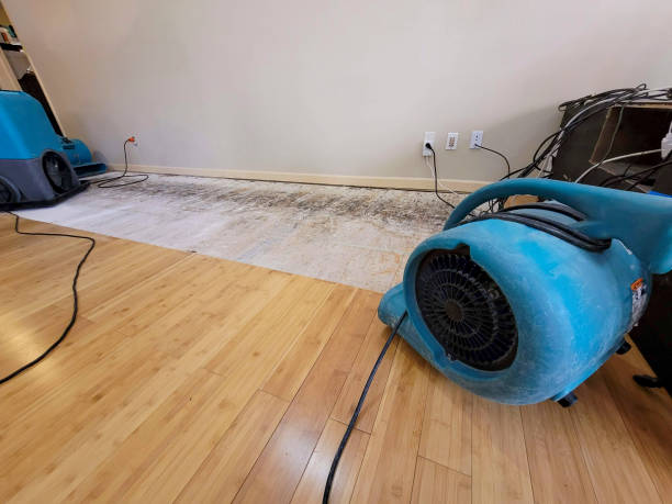 Professional Ceiling Water Damage Repair technician working in Union City, OH
